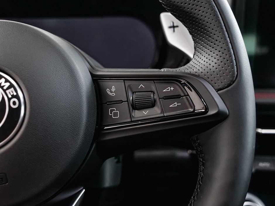 2025 Alfa Romeo Tonale PHEV TRIBUTO-31