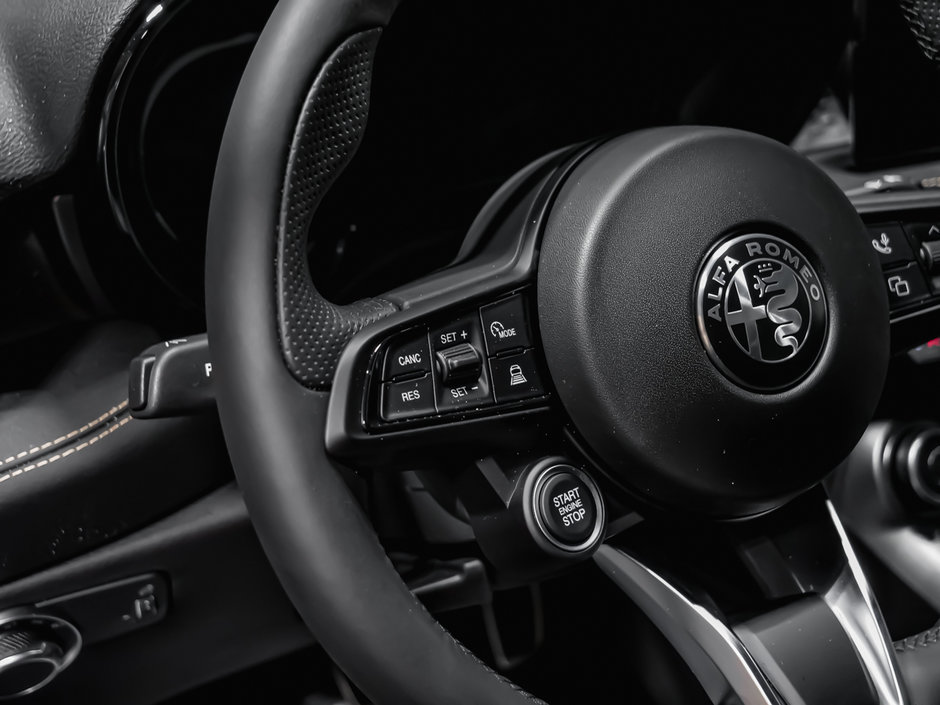 2025 Alfa Romeo Tonale SPRINT-12