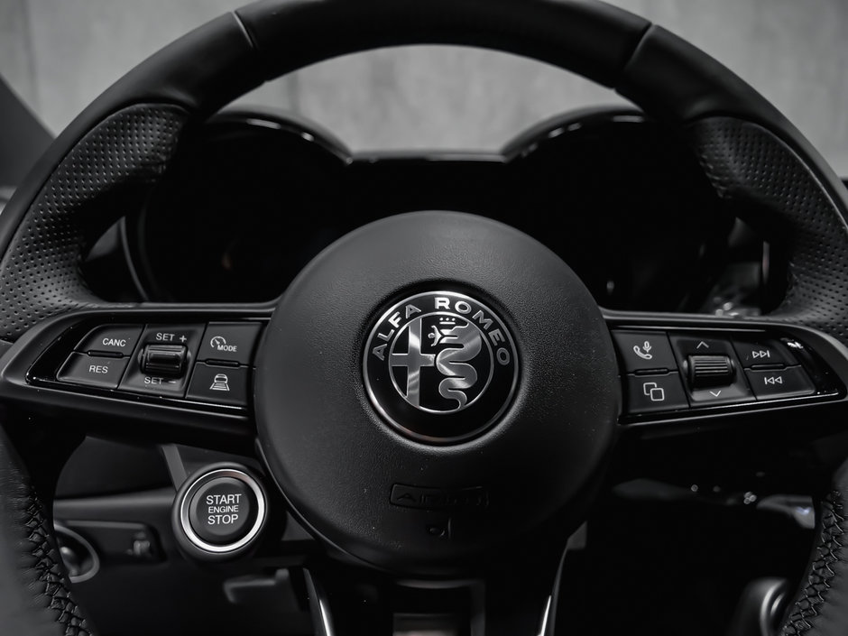 2025 Alfa Romeo Tonale SPRINT-16