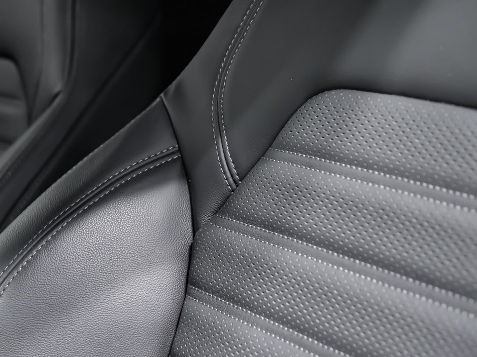 2024 Alfa Romeo Stelvio QUADRIFOLIO-28