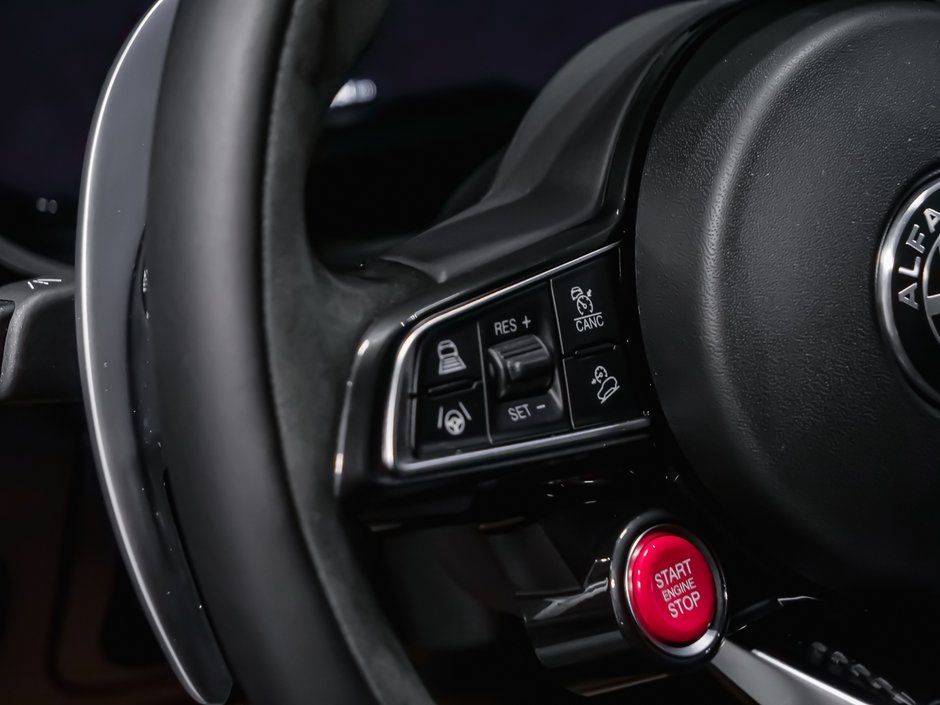 2024 Alfa Romeo Stelvio QUADRIFOLIO-14