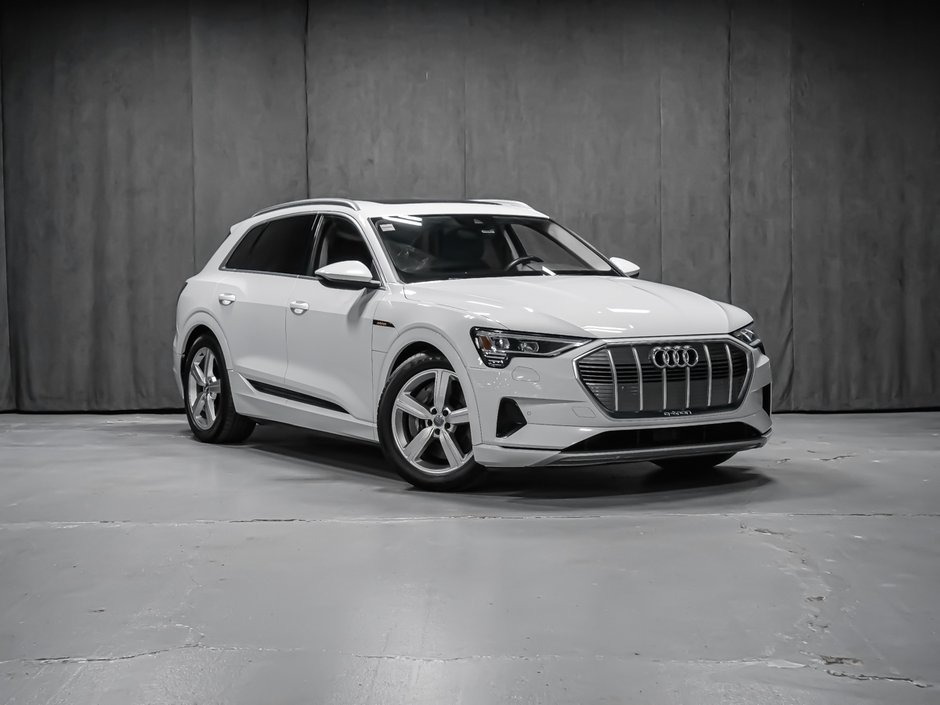 2019 Audi e-tron PROGRESSIV-1