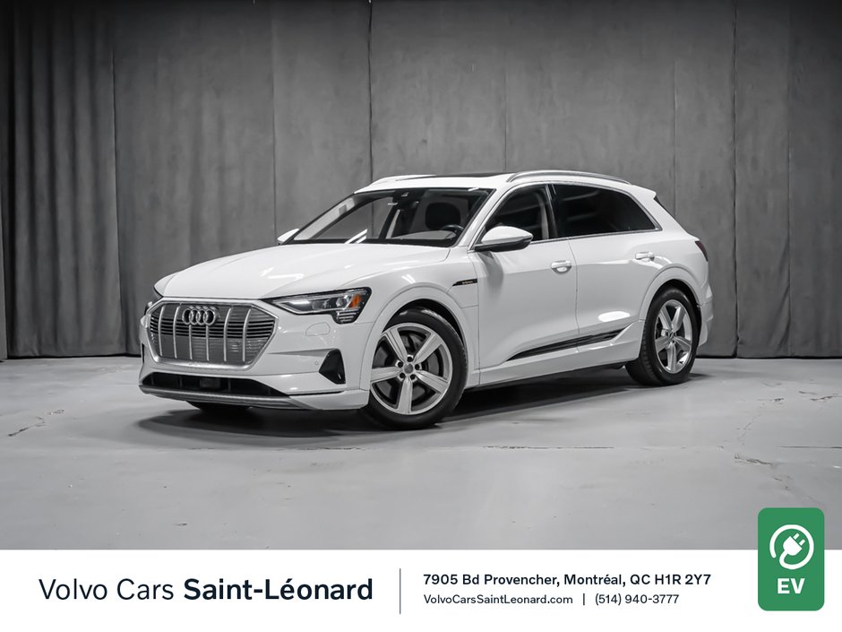 2019 Audi e-tron PROGRESSIV-0