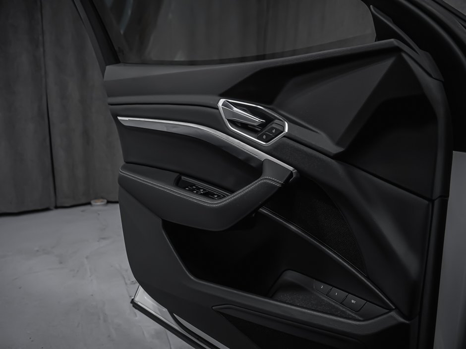 2019 Audi e-tron PROGRESSIV-10