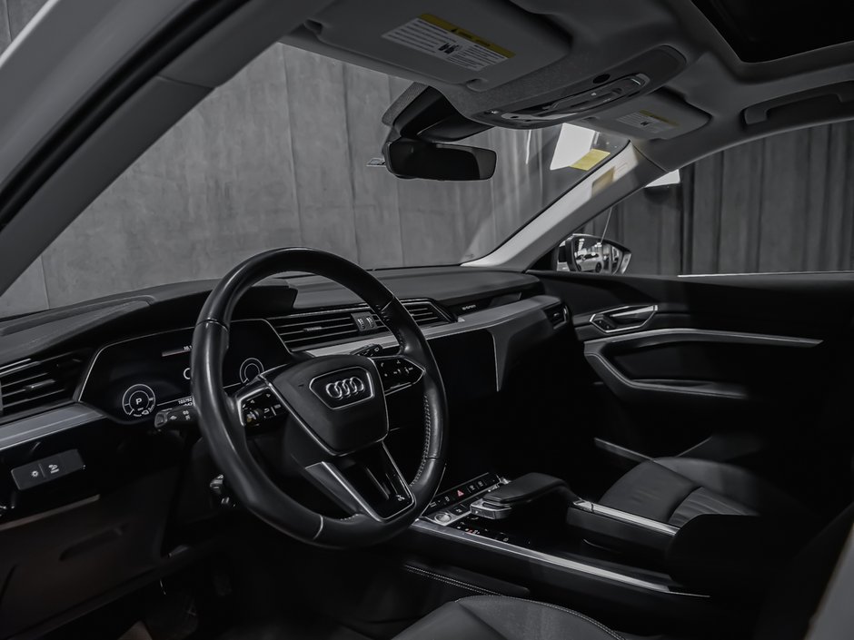 2019 Audi e-tron PROGRESSIV-6