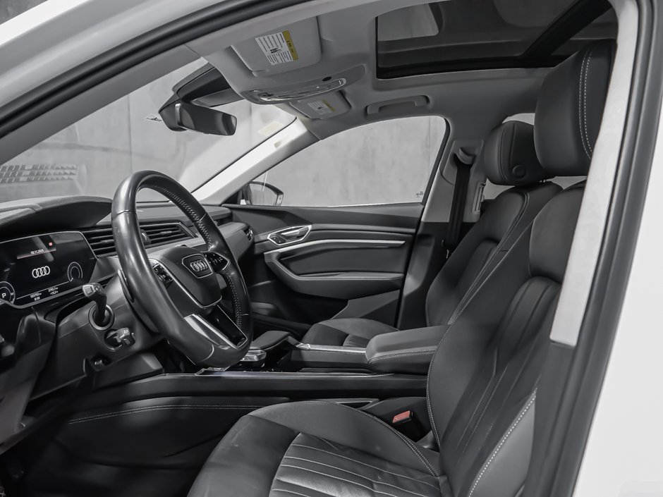 2019 Audi e-tron PROGRESSIV-11