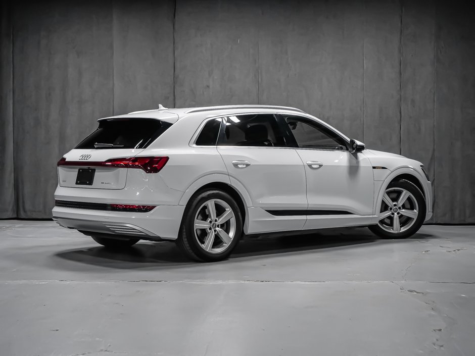 2019 Audi e-tron PROGRESSIV-2