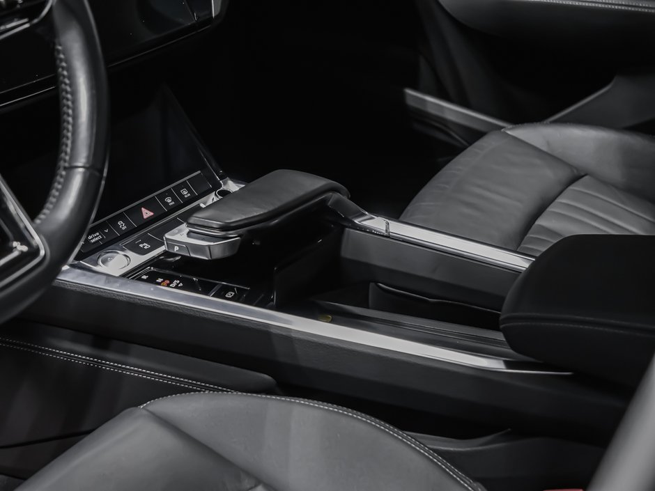 2019 Audi e-tron PROGRESSIV-7