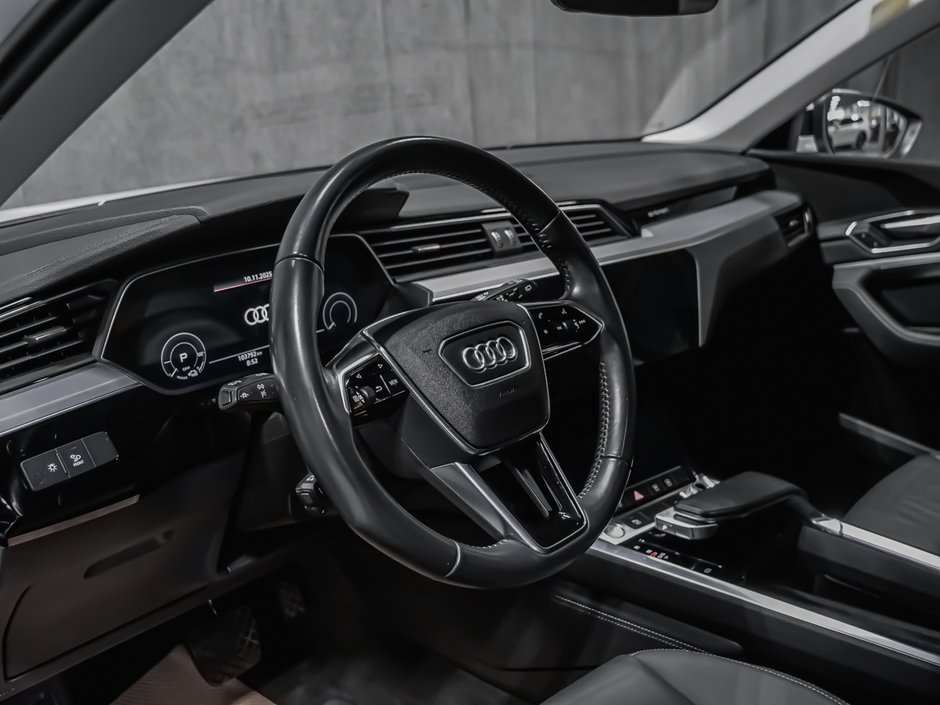 2019 Audi e-tron PROGRESSIV-8