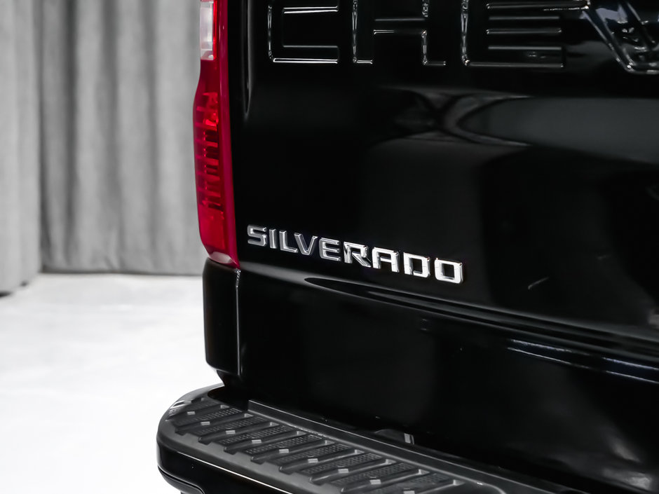 Chevrolet Silverado 1500 CUSTUM 2022-6