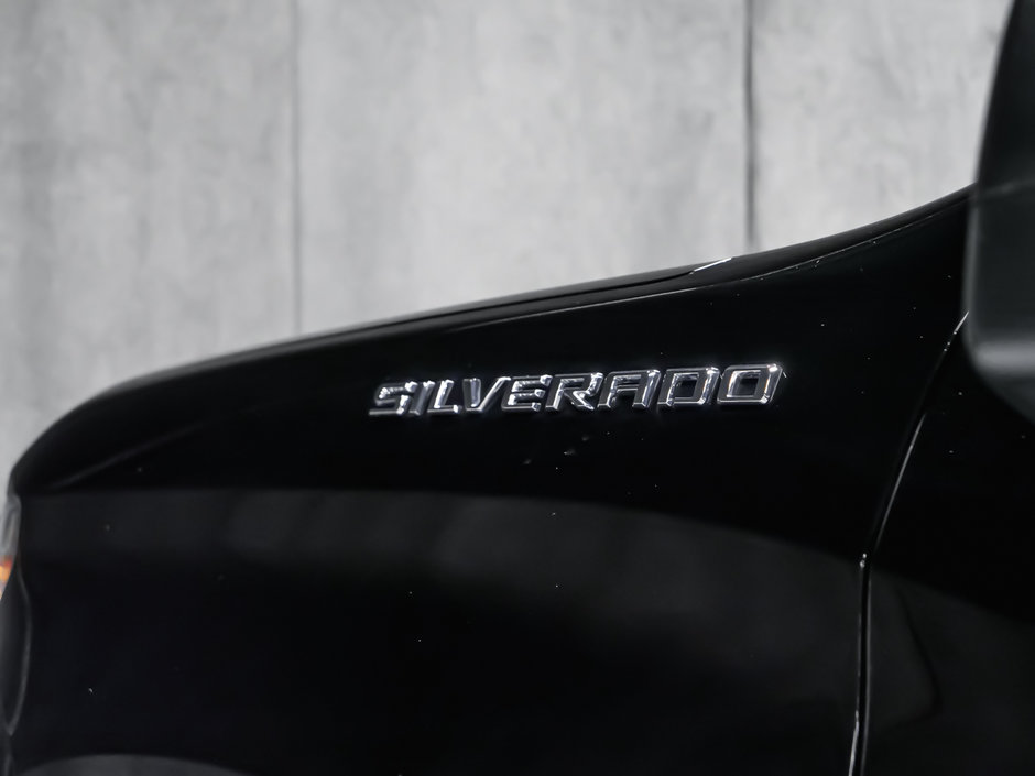 Chevrolet Silverado 1500 CUSTUM 2022-5