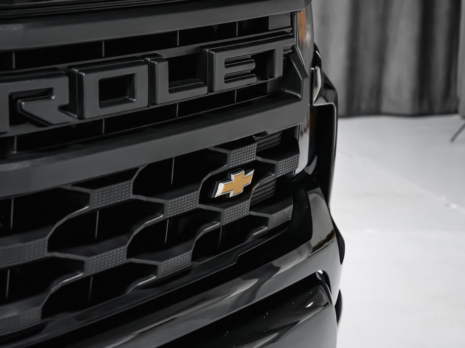 Chevrolet Silverado 1500 CUSTUM 2022-10