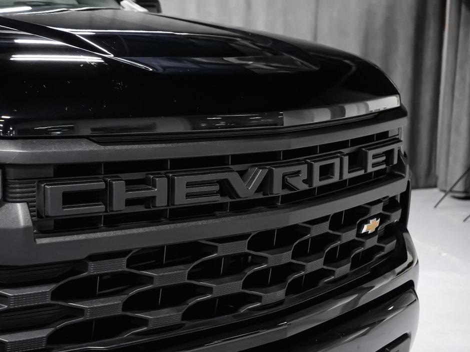 Chevrolet Silverado 1500 CUSTUM 2022-9