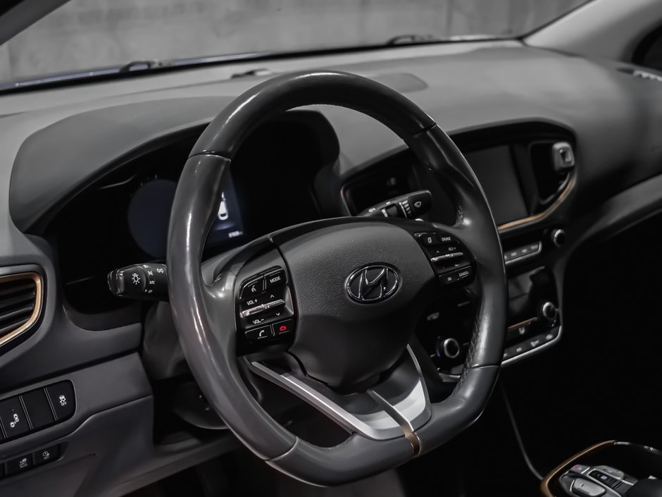 2019 Hyundai Ioniq Electric PREFERRED-8