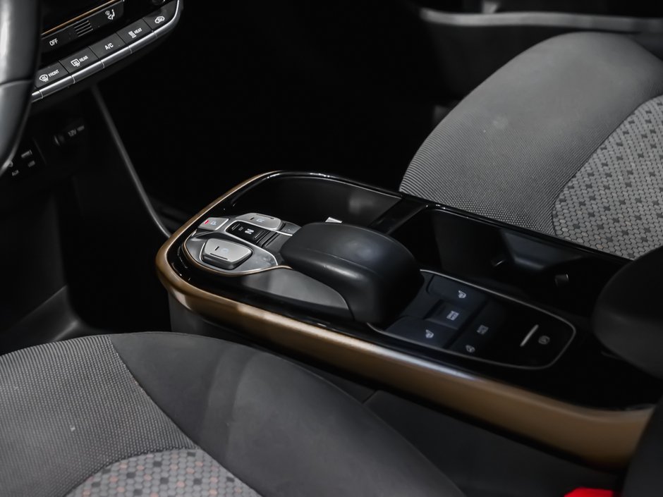 2019 Hyundai Ioniq Electric PREFERRED-7