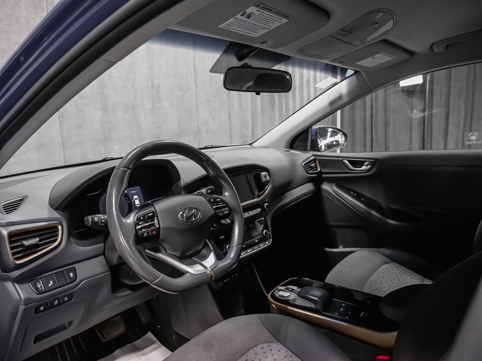 2019 Hyundai Ioniq Electric PREFERRED-6