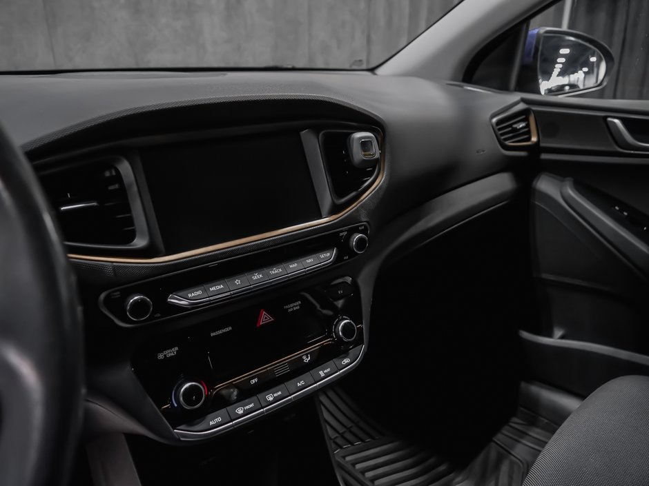 2019 Hyundai Ioniq Electric PREFERRED-11