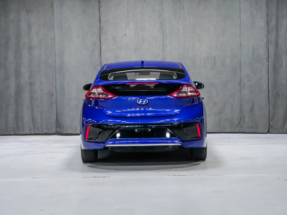 2019 Hyundai Ioniq Electric PREFERRED-5