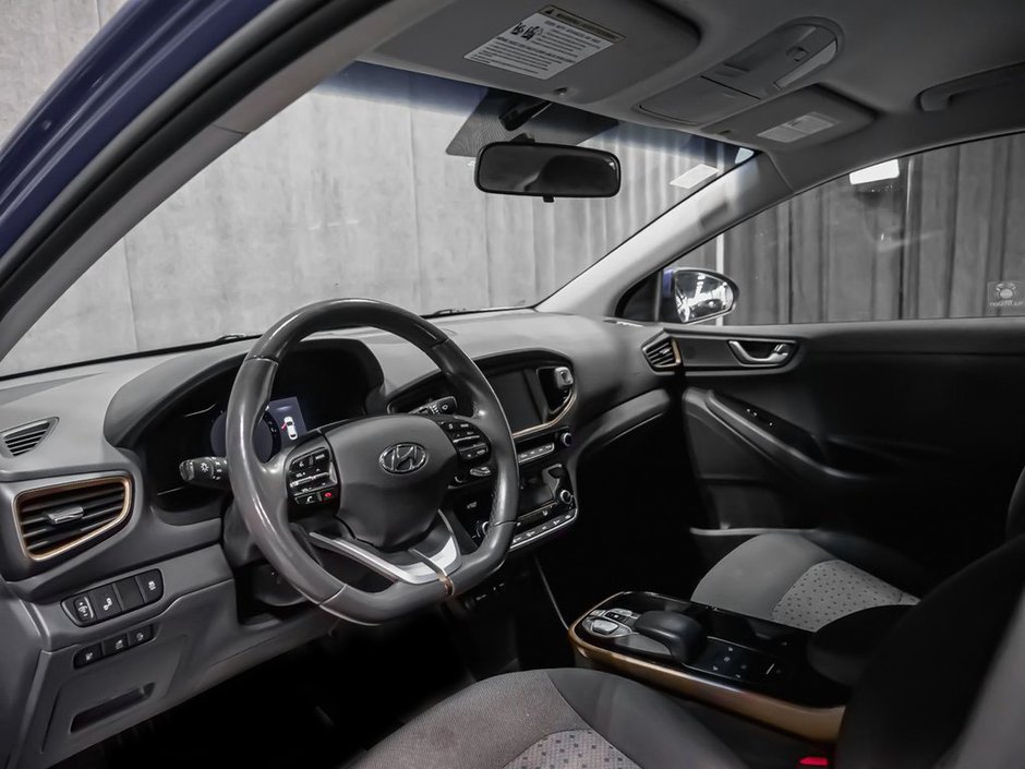 Hyundai Ioniq Electric PREFERRED 2019-6