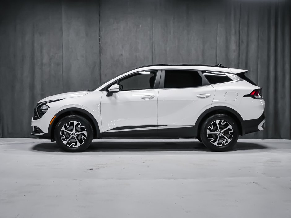 Kia Sportage  2024-2