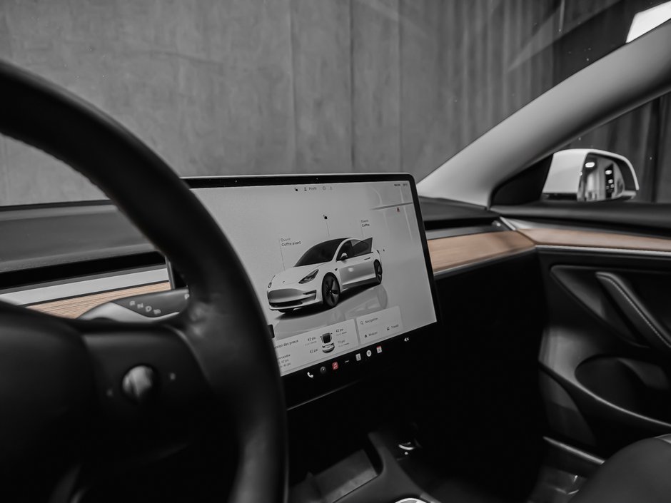 Tesla Model 3  2022-10