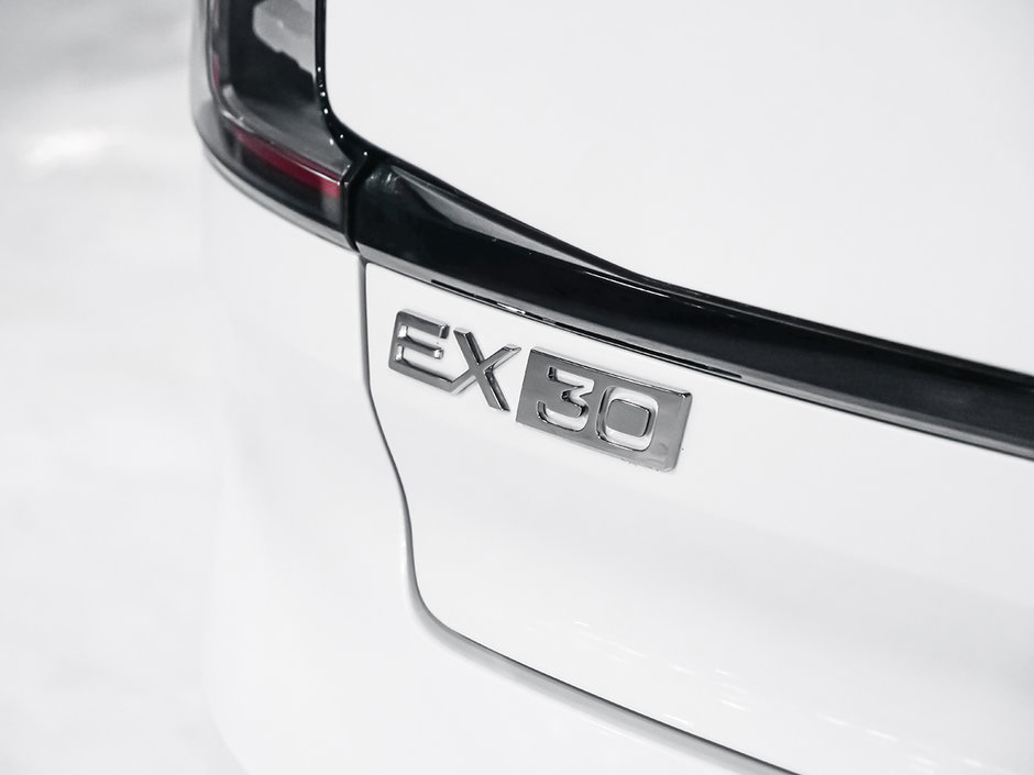 2025 Volvo EX30 TWIN Ultra-9