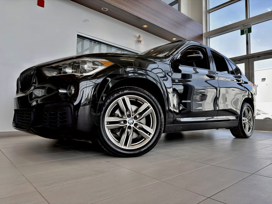 BMW X1 xDrive28i 2017-1
