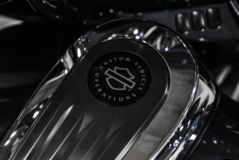 2019 Harley Davidson Motorcycle Unlisted Item