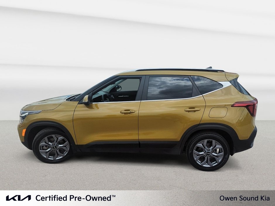 2024 Kia Seltos EX