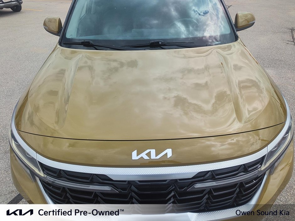 2024 Kia Seltos EX