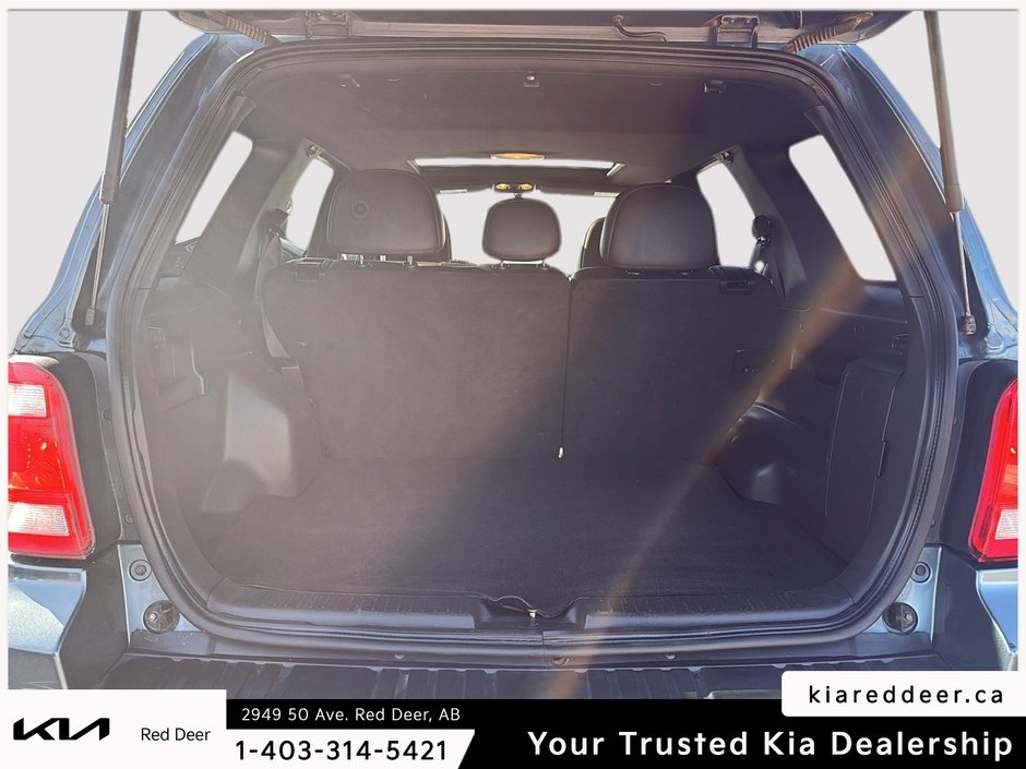 2010 Ford Escape XLT-19