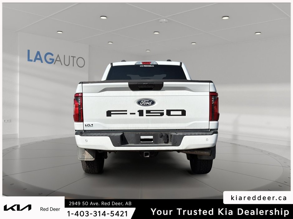 2025 Ford F-150 STX-3