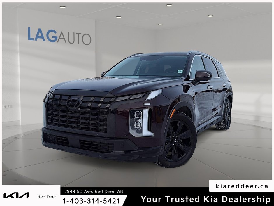 2023 Hyundai Palisade Urban-0