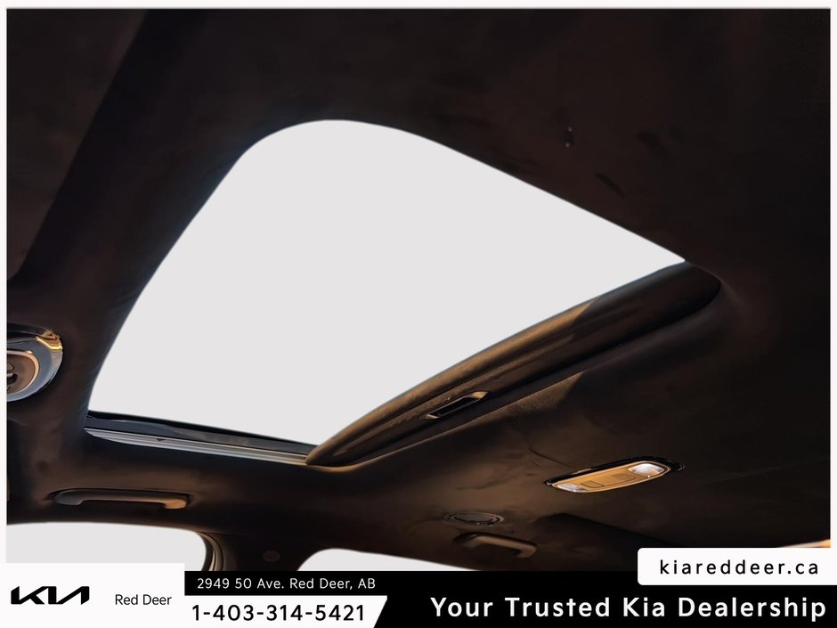 2024 Hyundai Palisade Ultimate Calligraphy-21