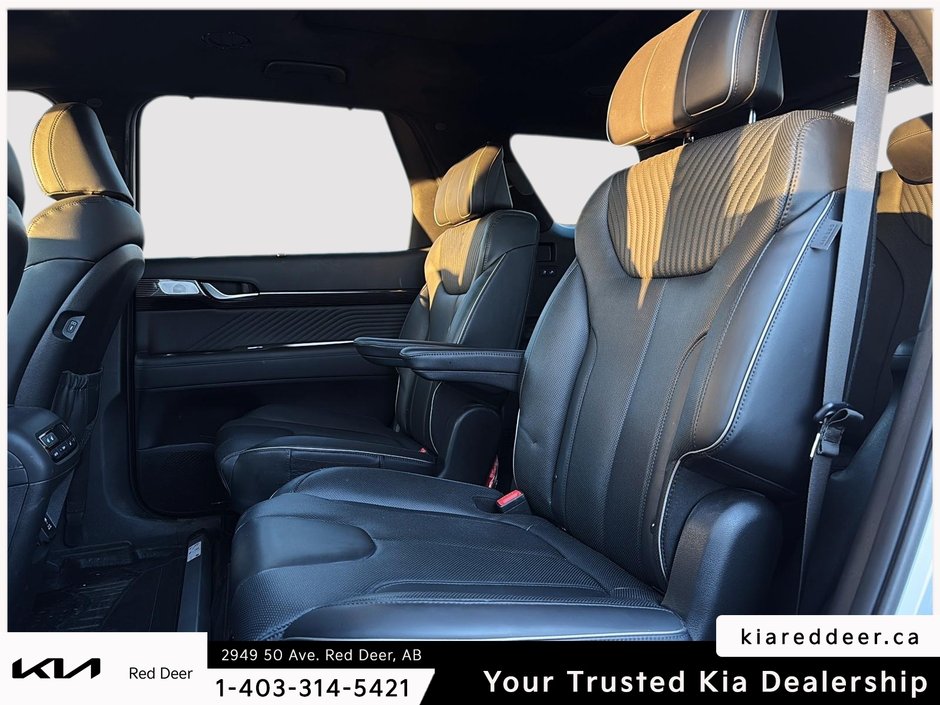 2024 Hyundai Palisade Ultimate Calligraphy-18