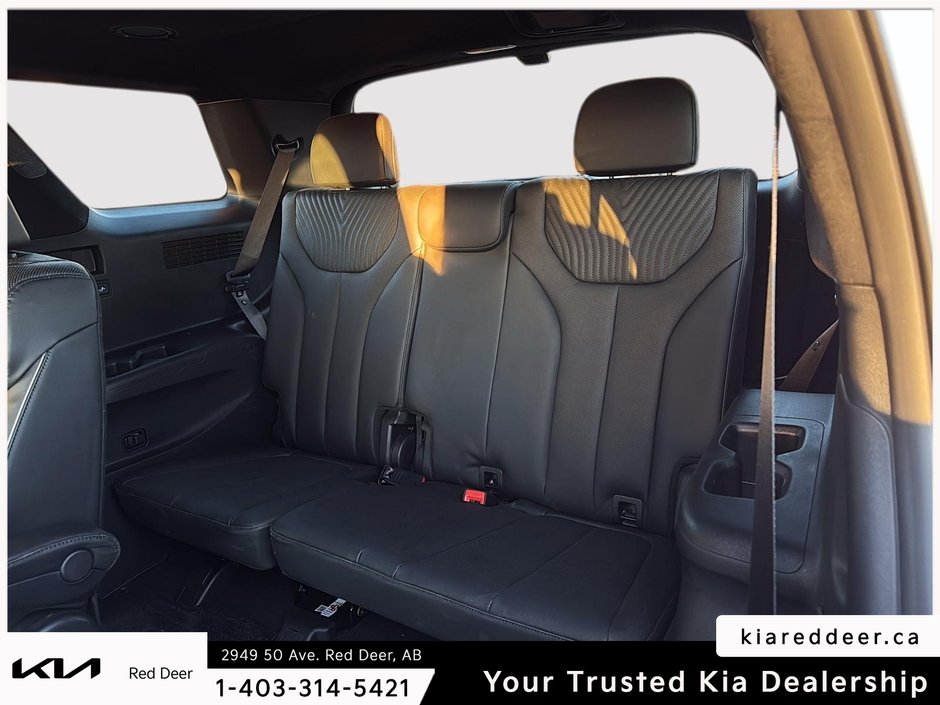 2024 Hyundai Palisade Ultimate Calligraphy-22