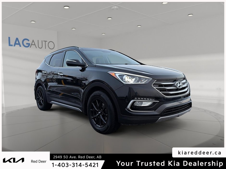 2017 Hyundai Santa Fe Sport 2.0T SE-6