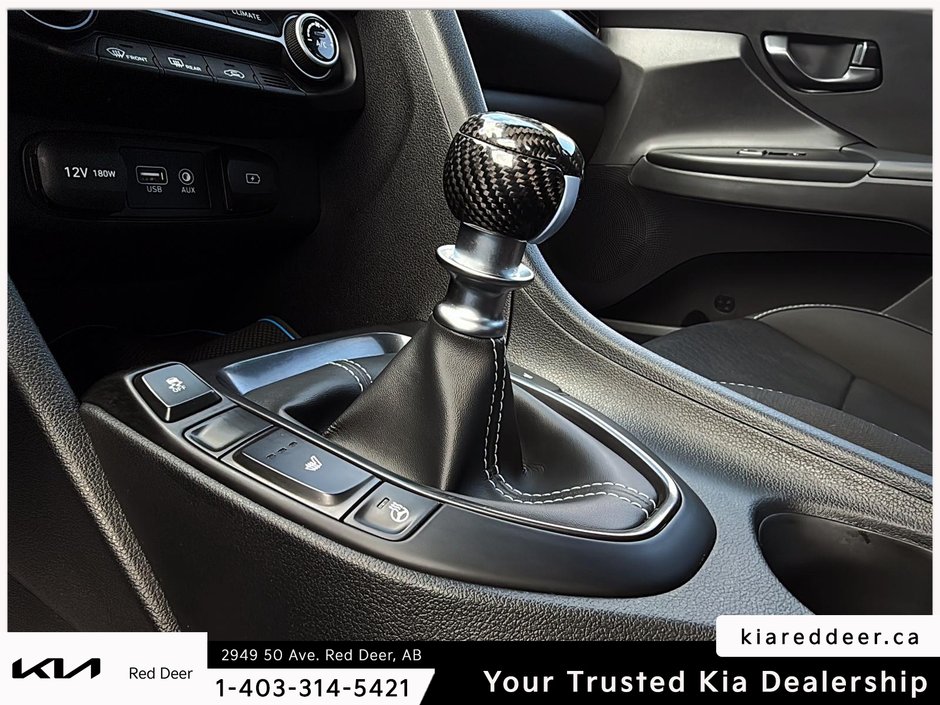 2019 Hyundai Veloster N-15