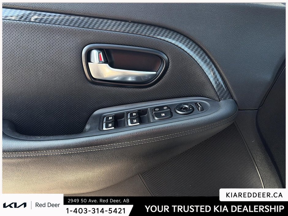 2017 Kia Rondo EX-17
