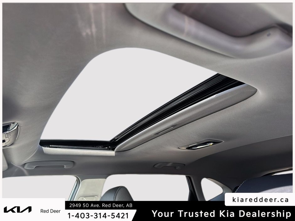 2025 Kia Seltos EX Premium-21