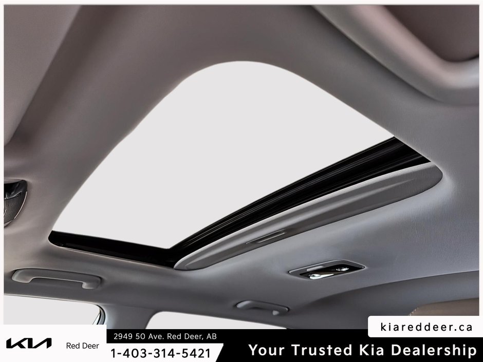 2025 Kia Seltos EX Premium-21