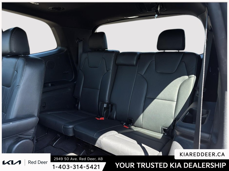 2024 Kia Telluride X-Line-22