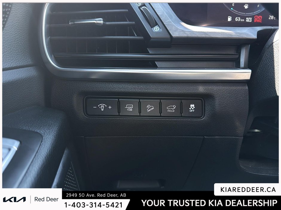 2024 Kia Telluride X-Line-17