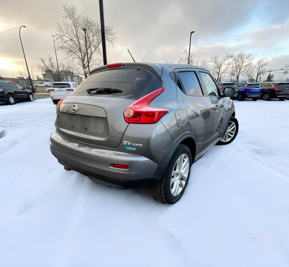 2013 Nissan Juke S-4