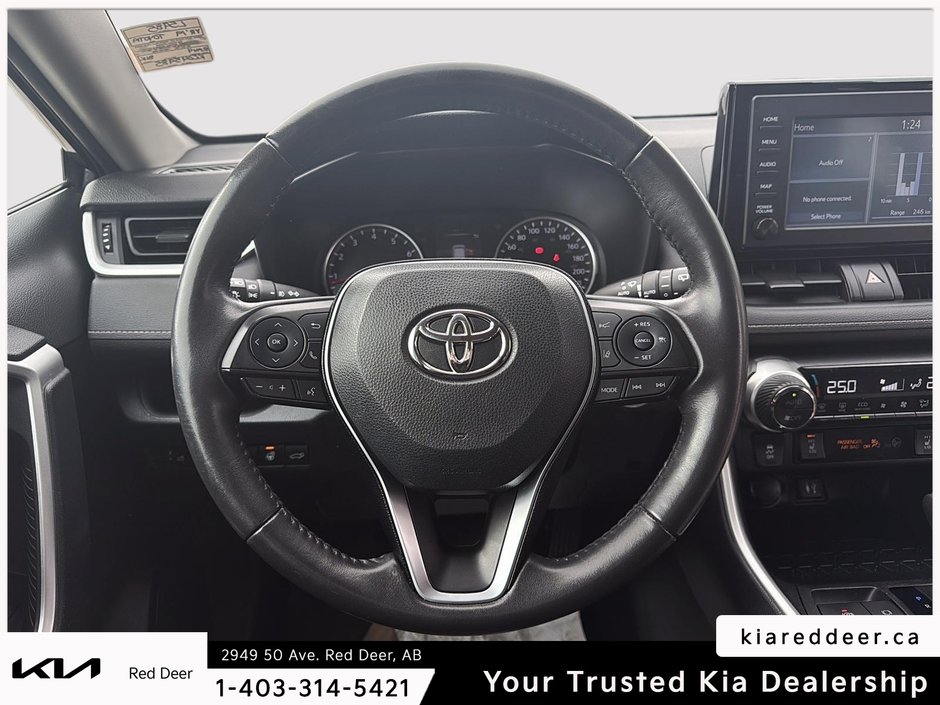 2019 Toyota RAV4 XLE-10