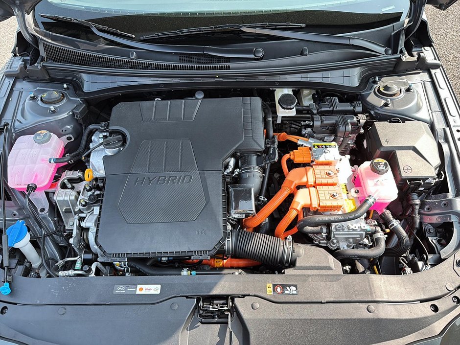Hyundai Elantra Hybrid Luxury 2025 Toit ouvrant + Navi + cuir