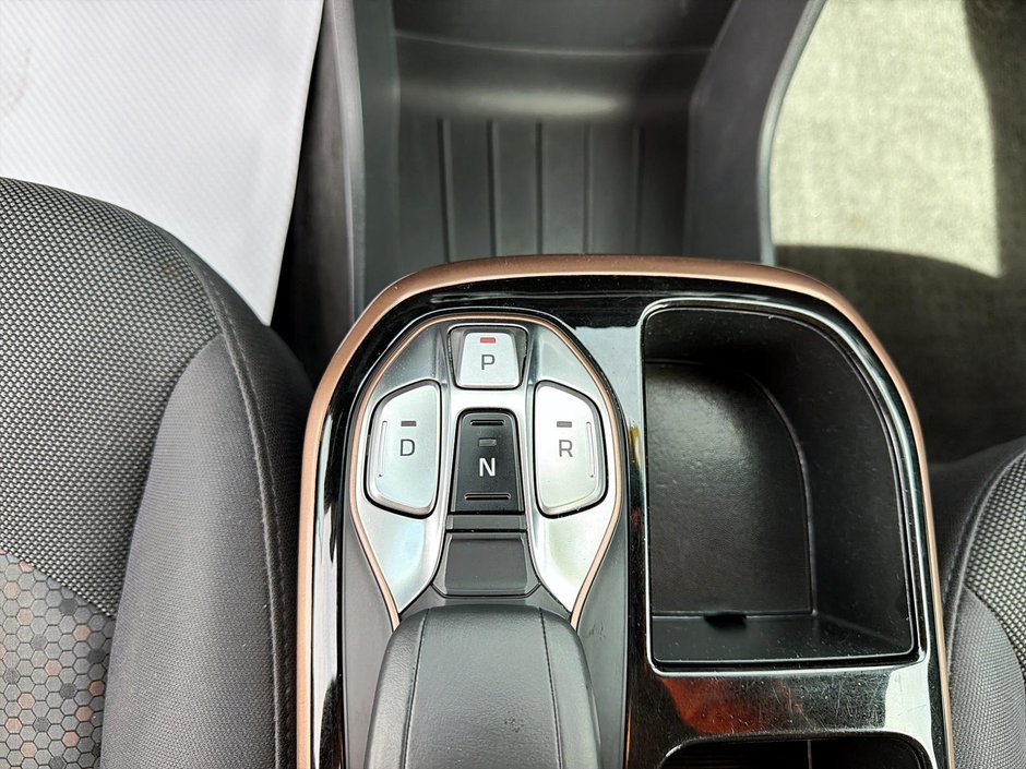 2019 Hyundai Ioniq Electric Preferred-14