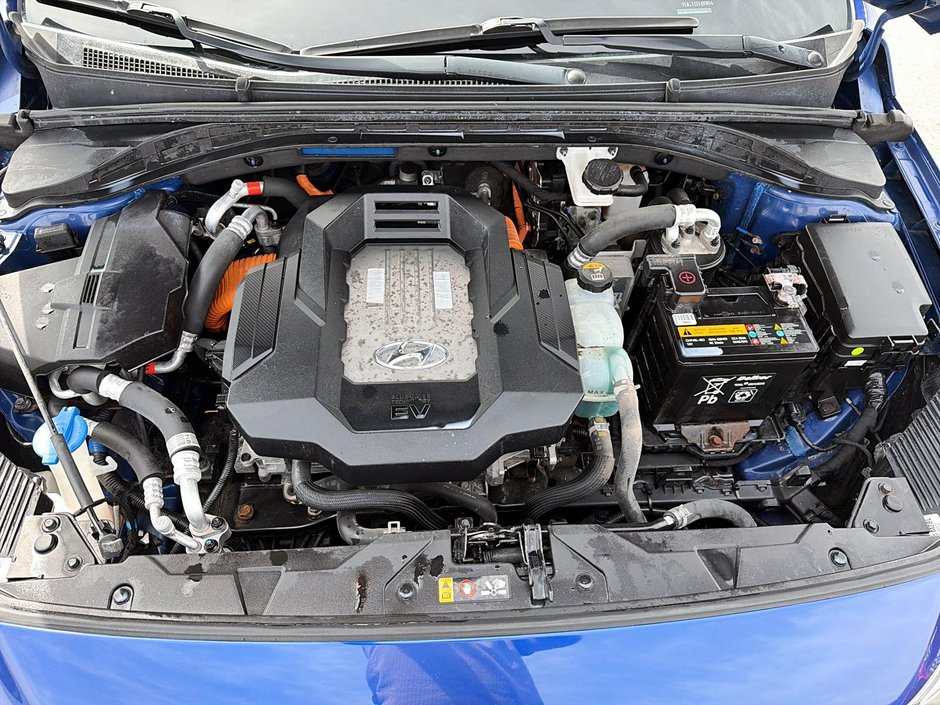 2019 Hyundai Ioniq Electric Preferred-7