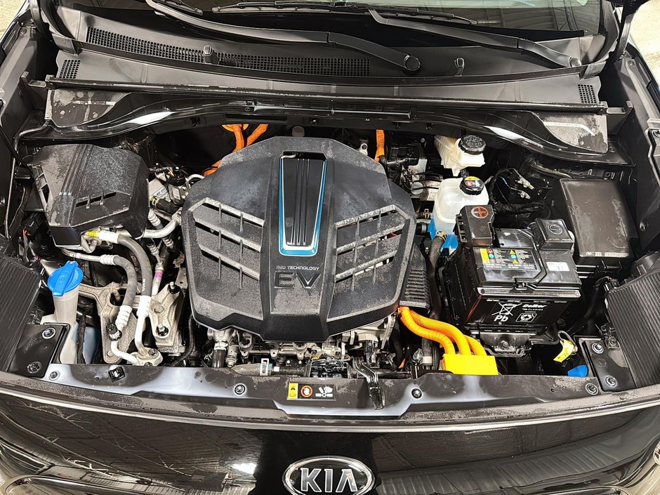 Kia Niro EV EX+ 2021-7