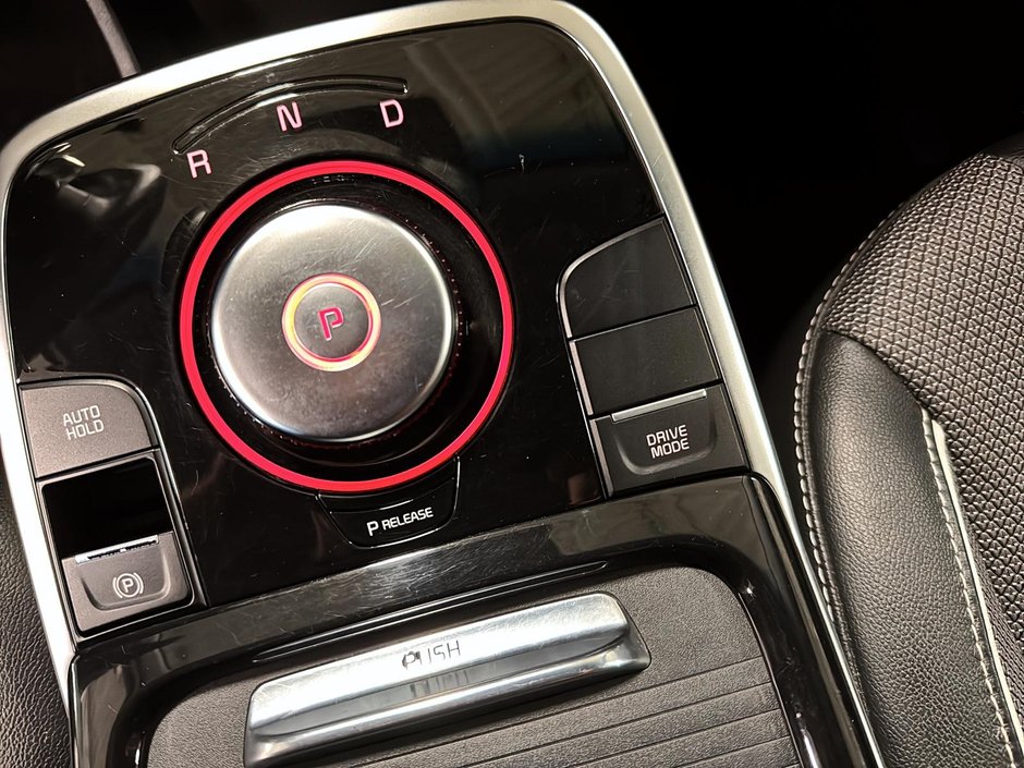 Kia Niro EV EX 2022-15